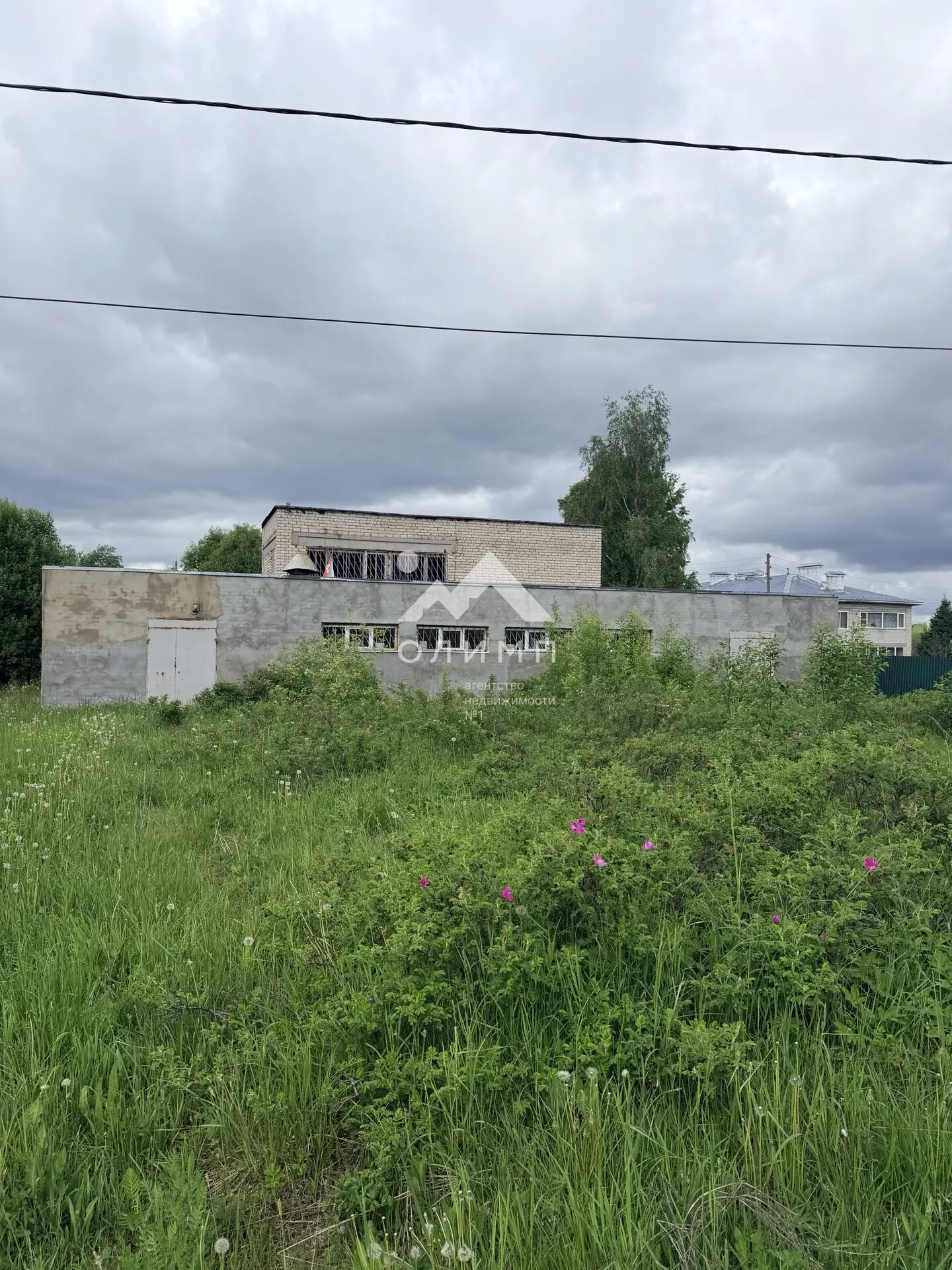 Россия, Ярославская область, Гаврилов-Ямский муниципальный округ, село Заячий Холм, Центральная улица, 33