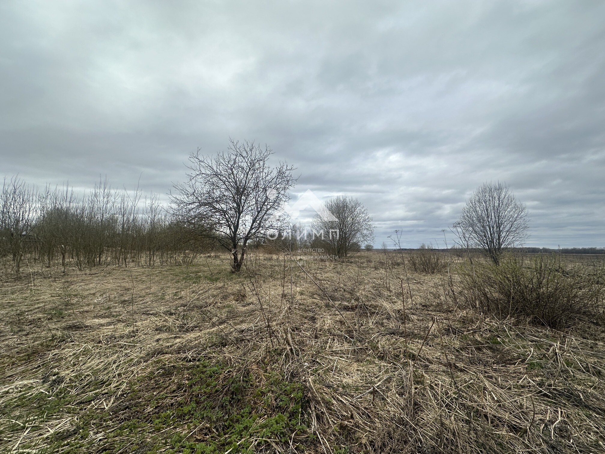 Россия, Ярославский муниципальный округ, село Андроники