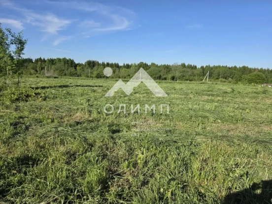 Россия, Вологодский муниципальный округ, деревня Никулино (Марковский сельсовет)