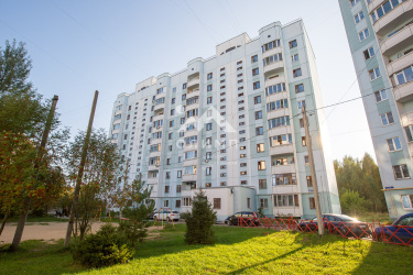Россия, Ярославль, жилой район Липовая Гора, Звёздная улица, 5к3 4274800470