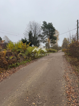 Россия, Ярославский муниципальный округ, садоводческое некоммерческое товарищество Берёзка-1, сад 5, 847