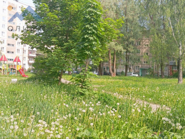 Ярославская область, Тутаев, улица Моторостроителей, 43 14428