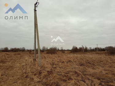 Россия, Ярославский муниципальный округ, ДНП Новые Сады 3358244276