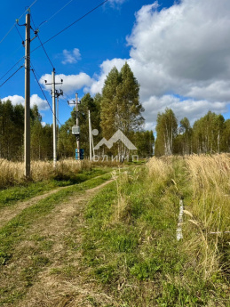 Россия, Ярославская область, Некрасовский муниципальный округ, село Диево-Городище 4446983596