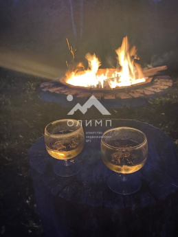 Россия, Ярославская область, Гаврилов-Ямский муниципальный округ, деревня Старосёлово