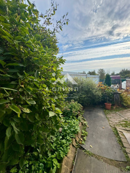 Россия, Ярославская область, Тутаевский муниципальный округ, деревня Емишево, Староемишевская улица, 13 4438299728