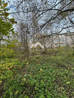 Россия, Ярославская область, Тутаевский муниципальный округ, рабочий посёлок Константиновский