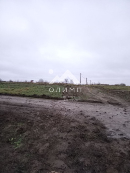 Россия, Ярославский муниципальный округ, деревня Дорожаево