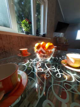 Россия, Ярославская область, Гаврилов-Ямский муниципальный округ, деревня Старосёлово