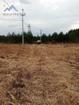 Ярославская область, деревня Боровая 13564