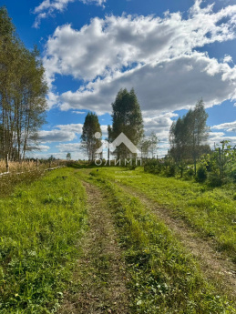 Россия, Ярославская область, Некрасовский муниципальный округ, село Диево-Городище 4446983596