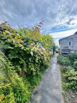 Россия, Ярославская область, Тутаевский муниципальный округ, деревня Емишево, Староемишевская улица, 13 4438299728