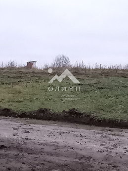 Россия, Ярославский муниципальный округ, деревня Дорожаево