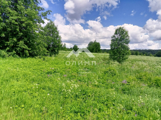 Россия, Вологодская область, Кирилловский муниципальный округ, деревня Кнышево