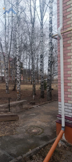 Вологодская обл, поселок Кувшиново, ул Сосновая, 1в 13671