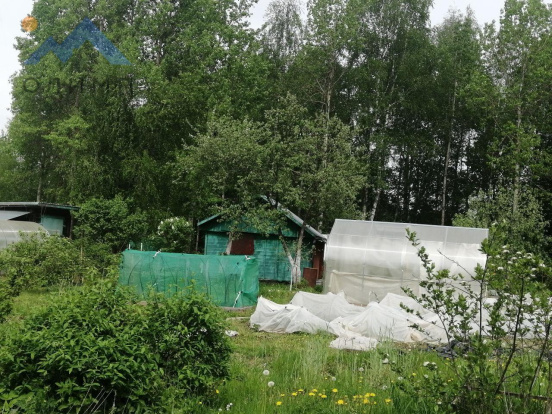 Вологодская область, СТ Шолда, 135 14528