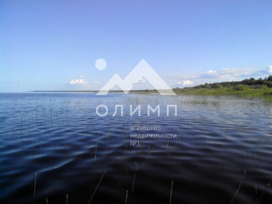 Россия, Вологодский муниципальный округ, деревня Новое (Борисовский сельсовет)