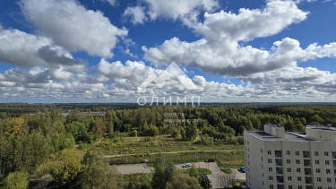 Россия, Ярославль, Спасская улица, 2 4468429402