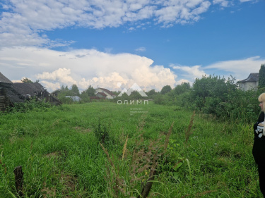 Россия, Ярославский муниципальный округ, деревня Зверинцы, 28