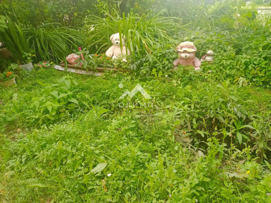 Россия, Ярославль, улица Ухтомского, 1