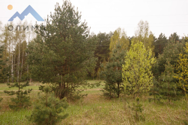 Ярославская обл, г Ярославль, ул Красноборская, 34к2 13855