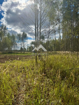 Россия, Ярославская область, Некрасовский муниципальный округ, село Диево-Городище 4446983596