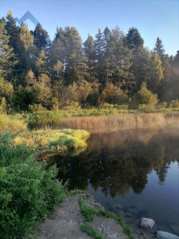 Ярославская область, деревня Нестерово, Полевая улица, 7 13975