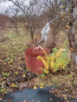Россия, Ярославский муниципальный округ, садоводческое некоммерческое товарищество Берёзка-1, сад 5, 847