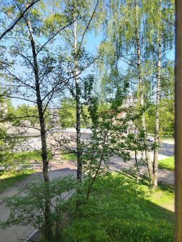 Ярославская область, Ярославль, улица Урицкого, 30 14296