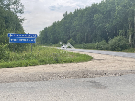 Россия, Ярославский муниципальный округ, деревня Алексеевское, Садовая улица