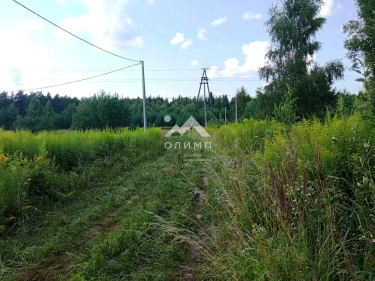 Россия, Ярославский муниципальный округ, деревня Боровая