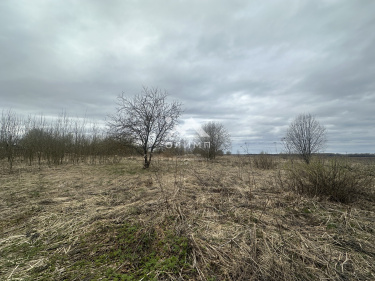 Россия, Ярославский муниципальный округ, село Андроники