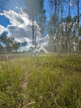 Россия, Ярославская область, Некрасовский муниципальный округ, село Диево-Городище 4446983596