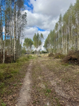 Россия, Ярославская область, Некрасовский муниципальный округ, село Диево-Городище 4446983596