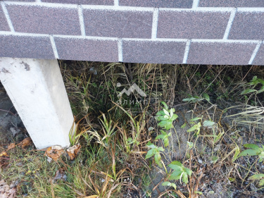 Россия, Ярославский муниципальный округ, садоводческое некоммерческое товарищество Недра, 228/1