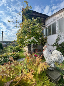 Россия, Ярославская область, Тутаевский муниципальный округ, деревня Емишево, Староемишевская улица, 13 4438299728