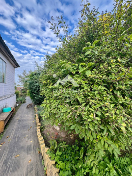 Россия, Ярославская область, Тутаевский муниципальный округ, деревня Емишево, Староемишевская улица, 13 4438299728