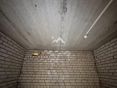 Россия, Ярославль, улица Павлова, 8 5092128090