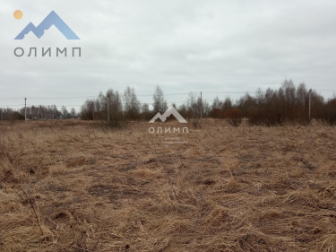 Россия, Ярославский муниципальный округ, ДНП Новые Сады 3358244276