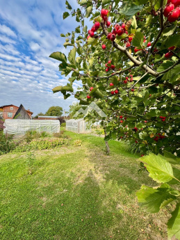 Россия, Ярославская область, Тутаевский муниципальный округ, деревня Емишево, Староемишевская улица, 13 4438299728