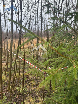 Россия, Ярославская область, Тутаевский муниципальный округ, Артемьевское сельское поселение, коттеджный посёлок Правый берег 3358244313