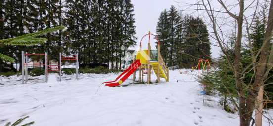 Россия, Вологодская область, Кирилловский муниципальный округ, деревня Шидьеро, 38