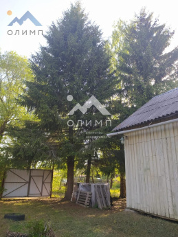 Россия, Ярославская область, Гаврилов-Ямский муниципальный округ, деревня Хватково 3357958471
