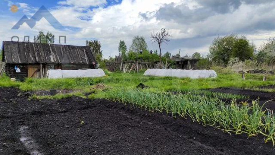 Вологодская область, садоводческое товарищество Торфяник-3 9878