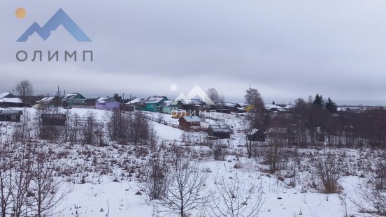 Россия, Вологодская область, Кирилловский муниципальный округ, деревня Иванов Бор, Набережная улица, 99