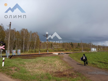 Россия, Ярославский муниципальный округ, СНТ Мечта, 867 3485490573