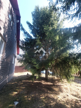 Россия, Ярославская область, Гаврилов-Ямский муниципальный округ, деревня Старосёлово