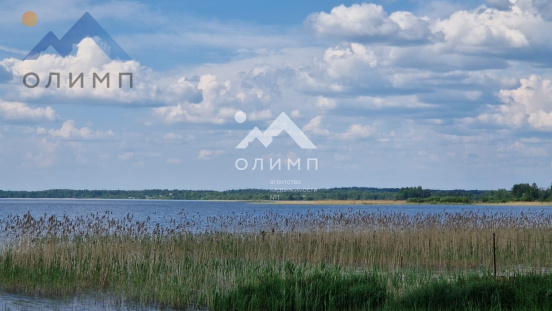 Россия, Вологодская область, Кирилловский муниципальный округ, деревня Гридинская 3358423535