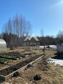 Россия, Ярославская область, Гаврилов-Ямский муниципальный округ, деревня Старосёлово