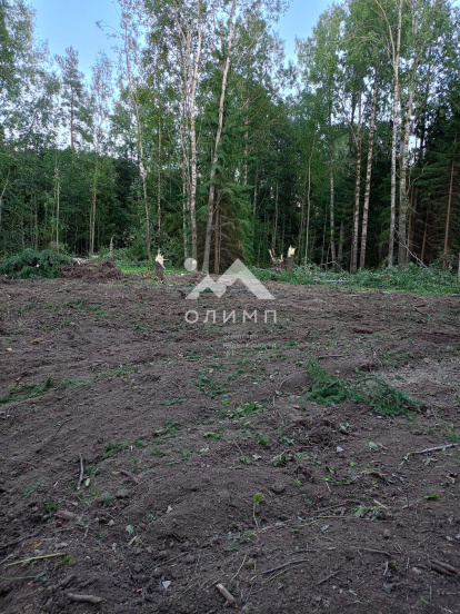 Россия, Вологодский муниципальный округ, садоводческое товарищество Лечебное 4328347604